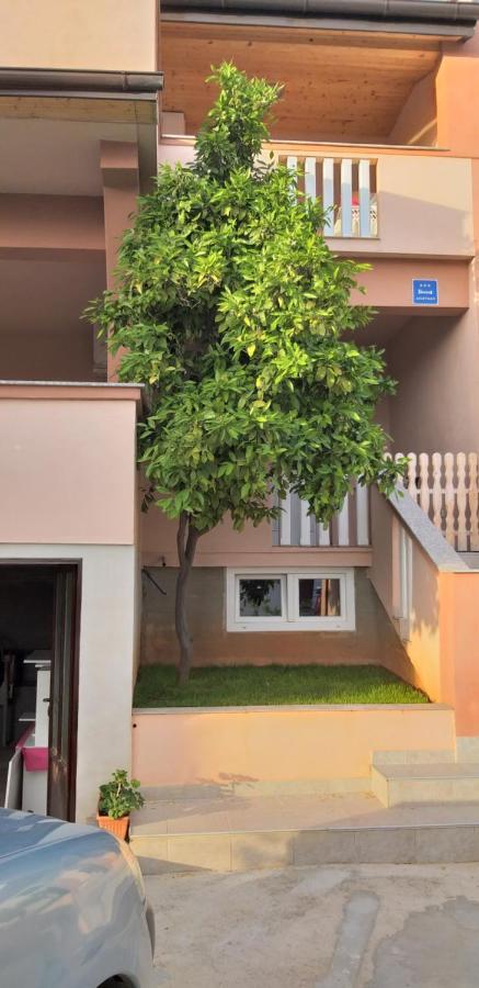 Apartmani Damant Zadar Room photo